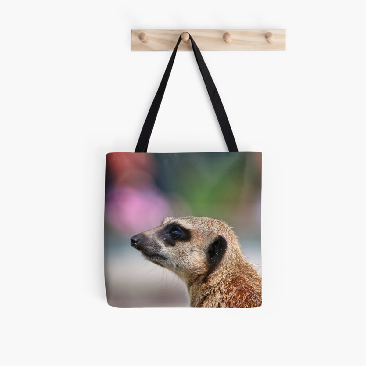 meerkat Meerkats animal animals Nature photographer Photography  photoshoot photo art