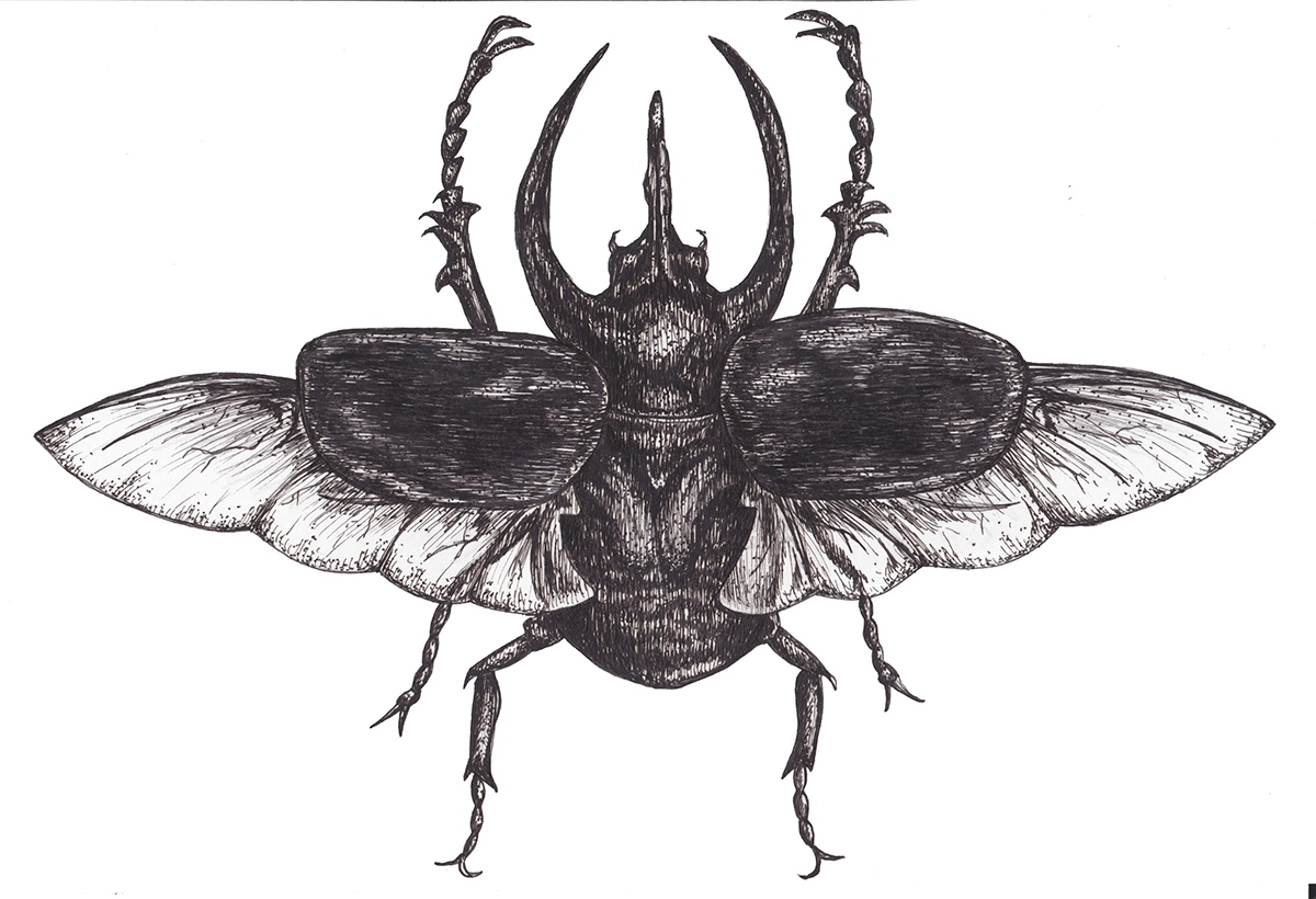 beetle bug ink pen poster Piano recital design