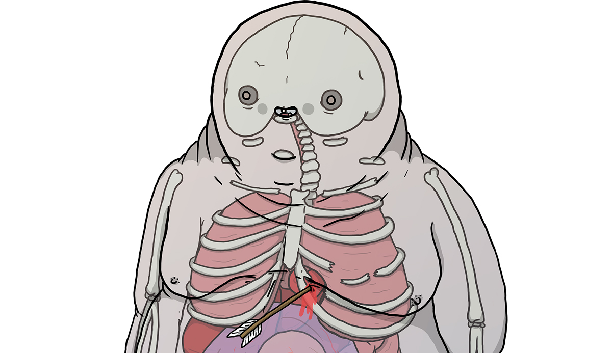 ilustracion wacom anatomy fat Engendro ILLUSTRATION  digital ALZATE bones