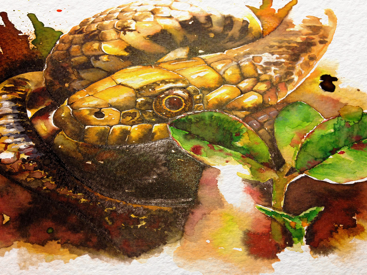 snake Nature moon road watercolor ecoline ink