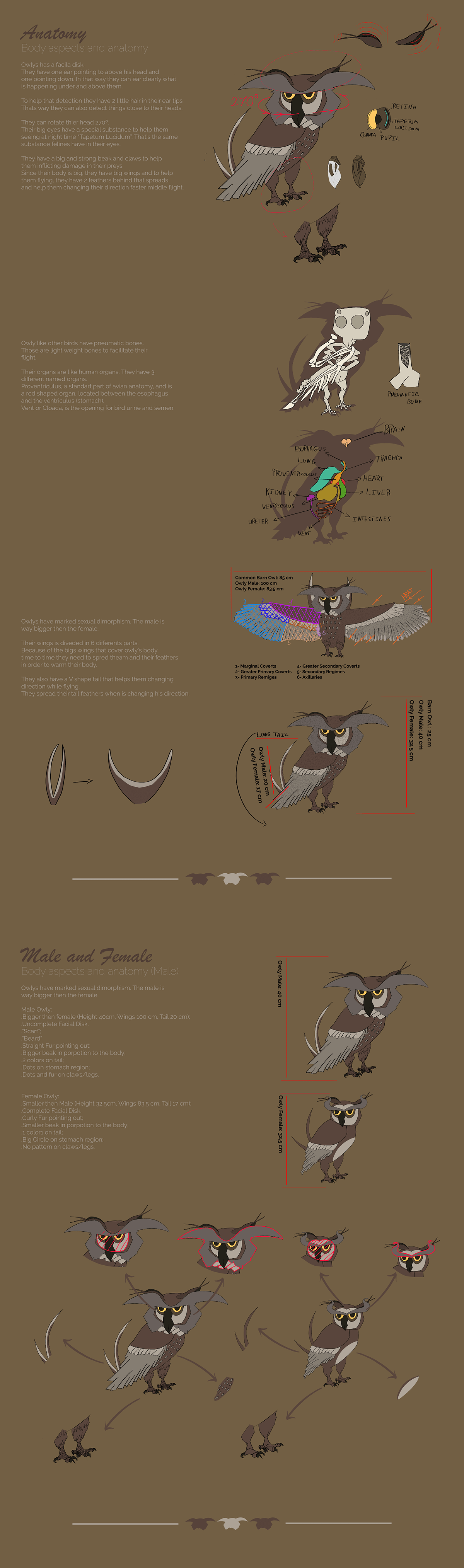 animal bird concept design creature ILLUSTRATION  lynx owl vulture
