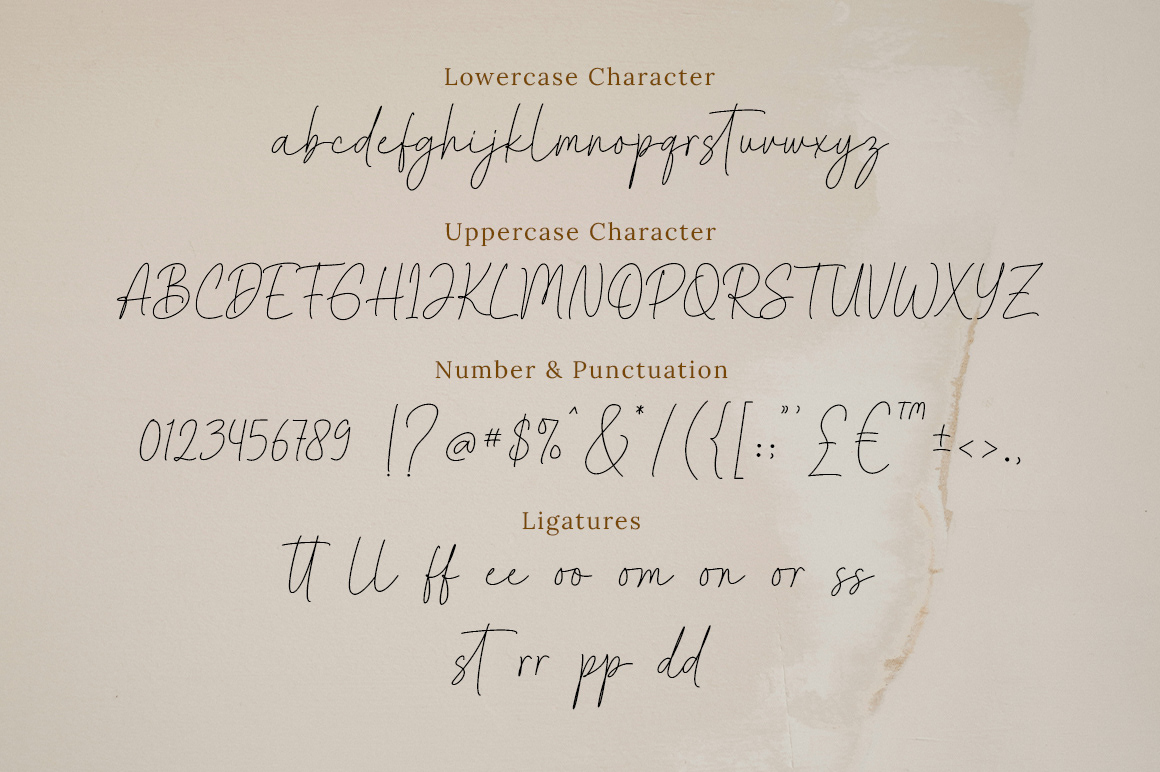 fonts Free font handwritten font modern font Script Font logo font typography design Hand Lettered calligraphy font signature font