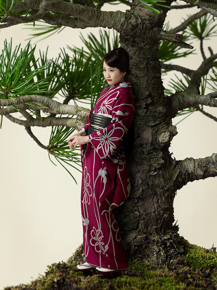 bonsai japan Tree  digital photoshop portlait woman beautyful art Nature