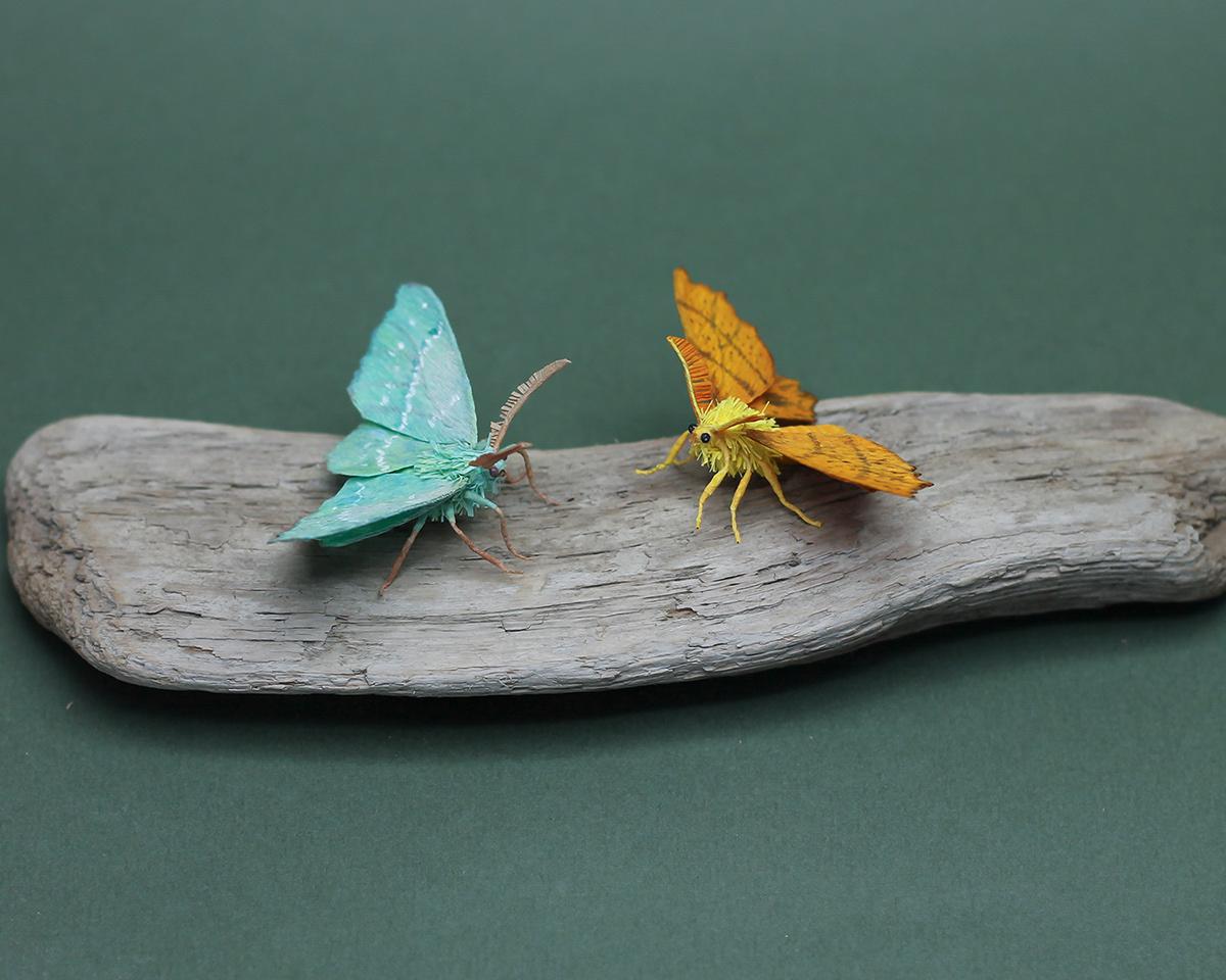 Crepe Paper Moths on Behance