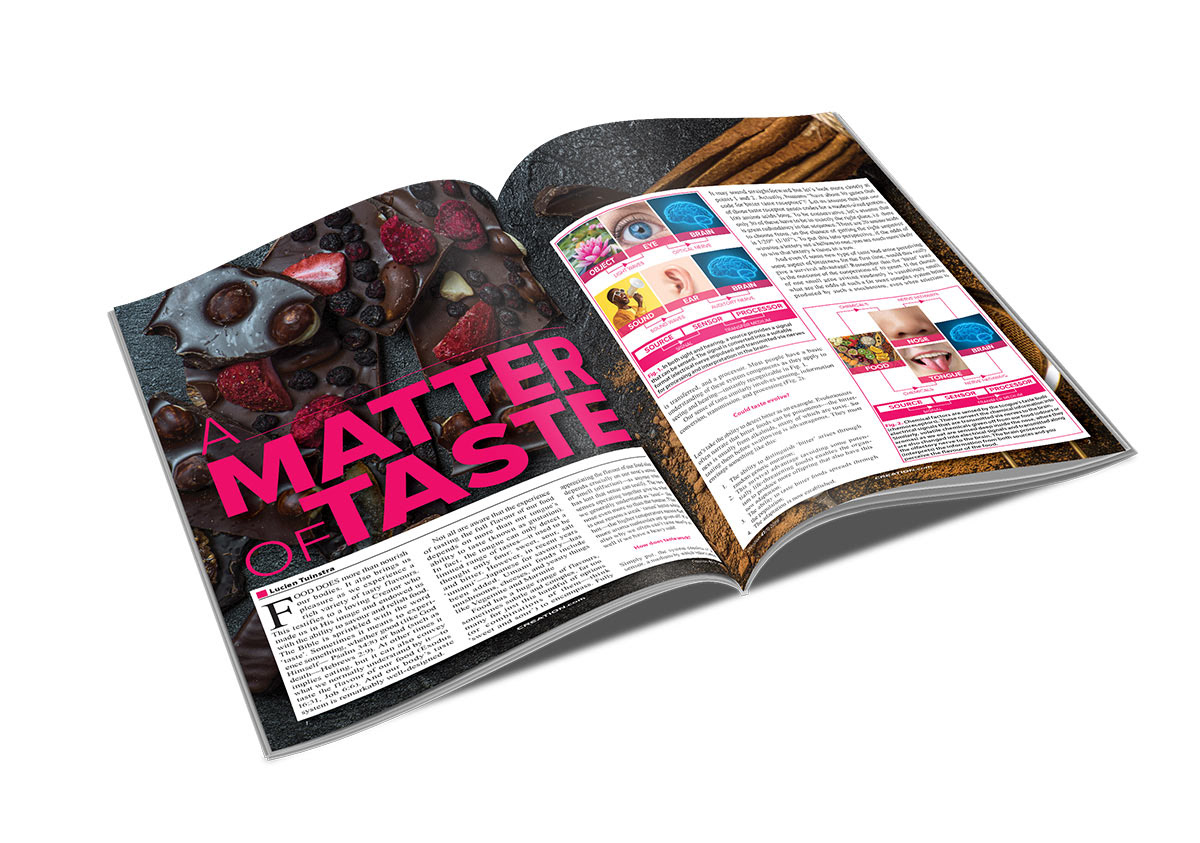 article design editorial graphic magazine magazine article design