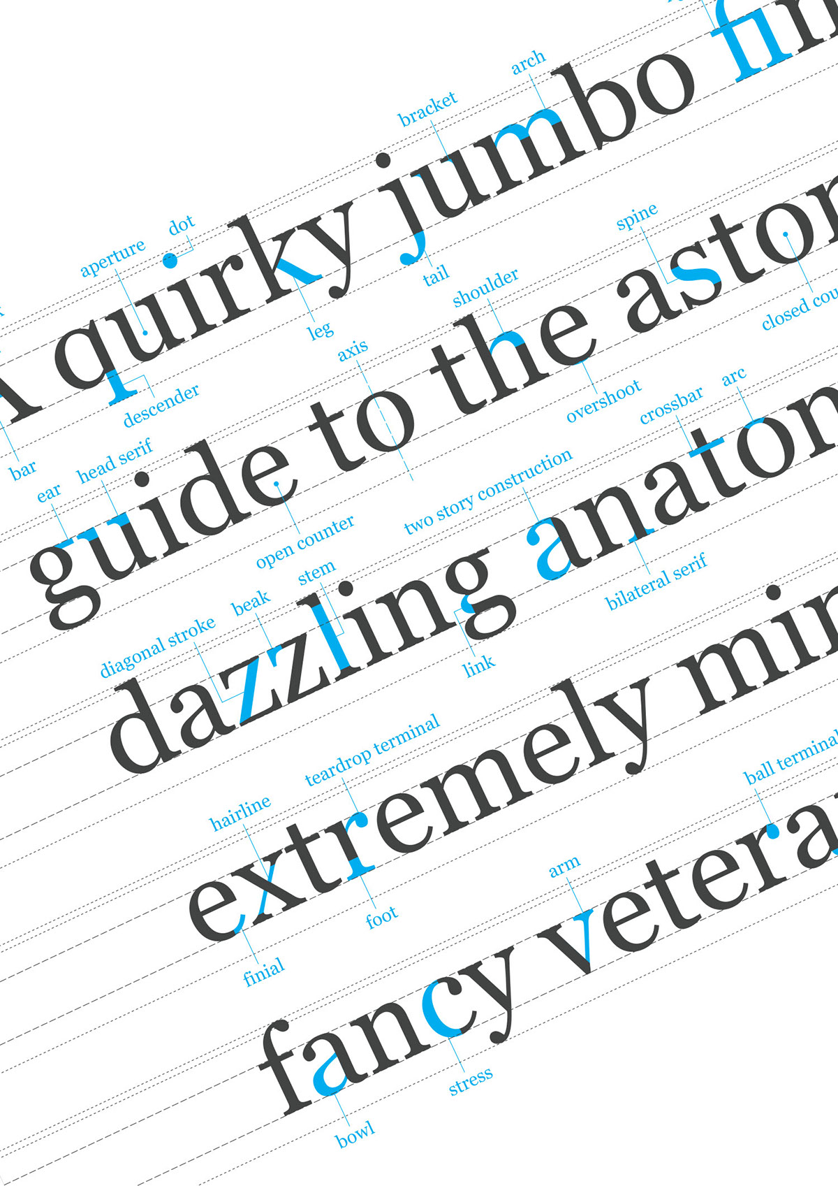 type anatomy poster Typeface font Georgia classification typo graphic