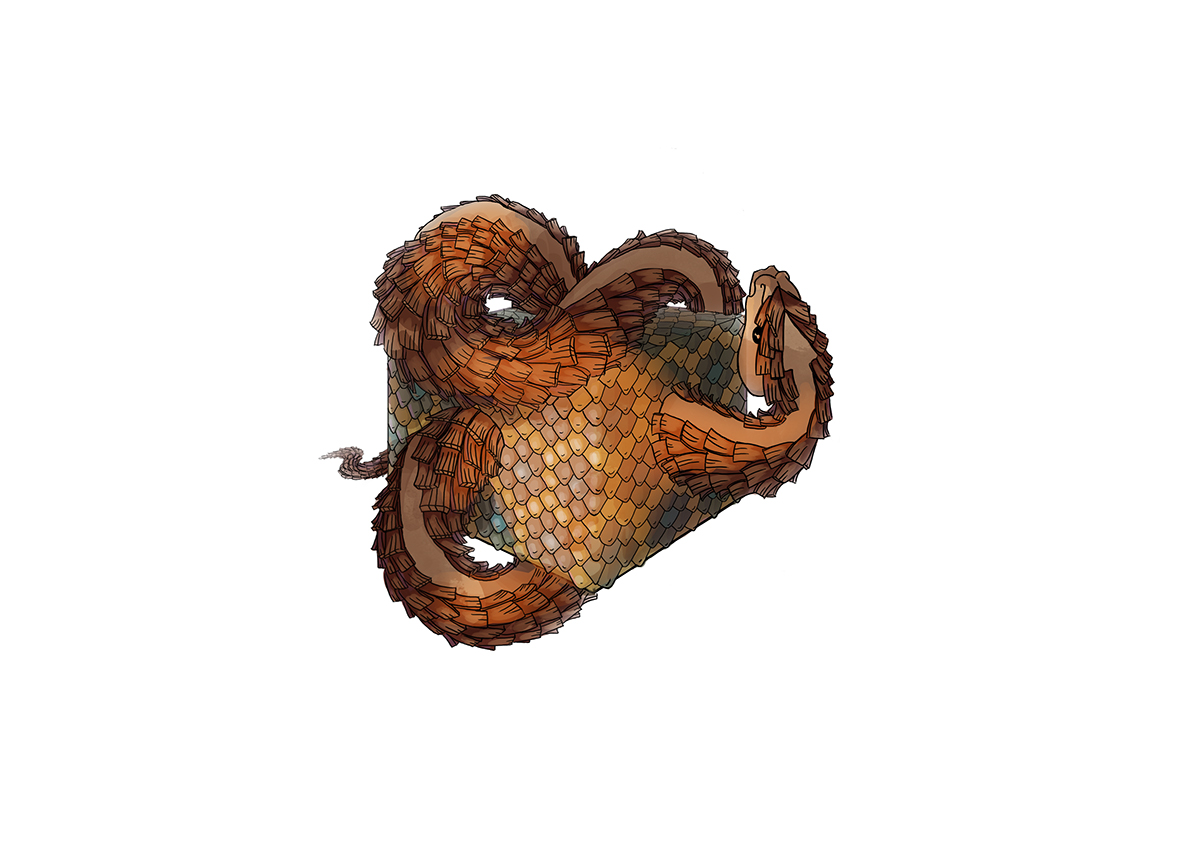 snake box textures