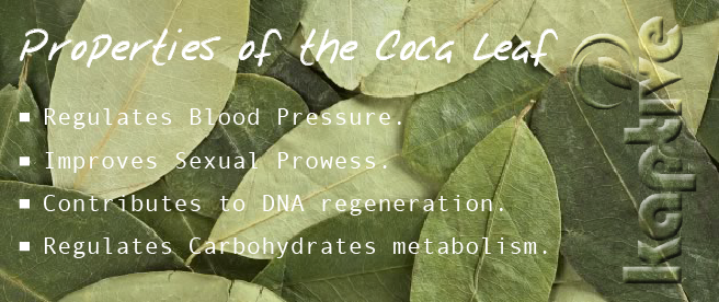 coca coca leaf drink drinks infographics stamina STAMINA DRINKS energy energy drink kaptive MY KAPTIVE ads