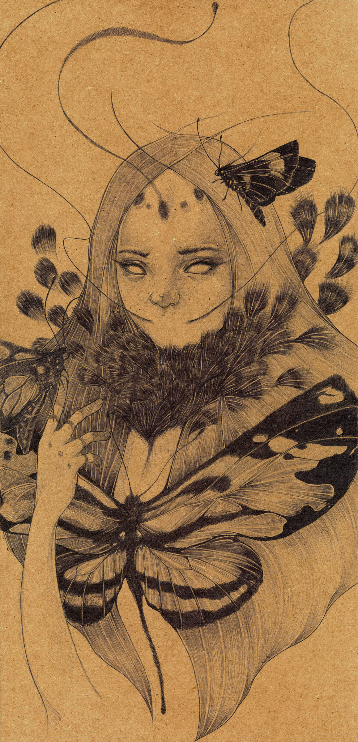 fantasy draw ink pen fairy Nature butterfly lines design portrait