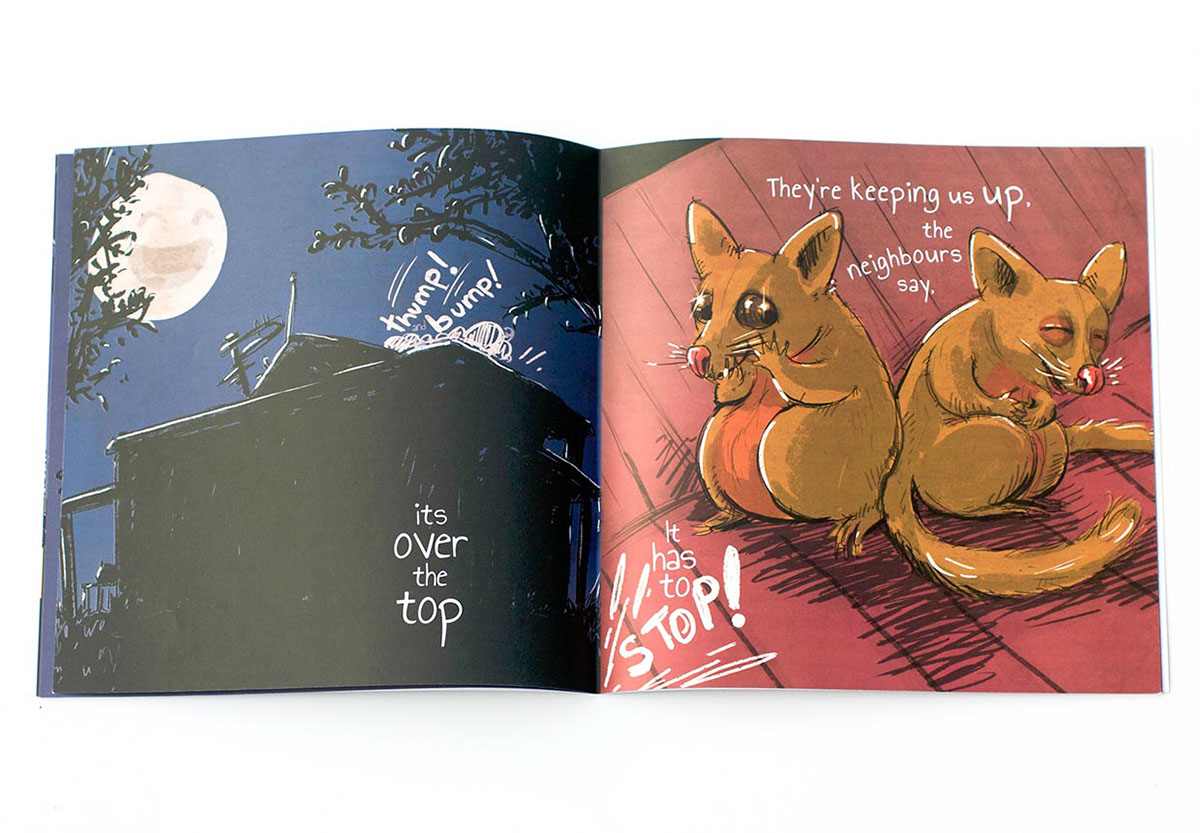 Picture book children's book possum Australia night