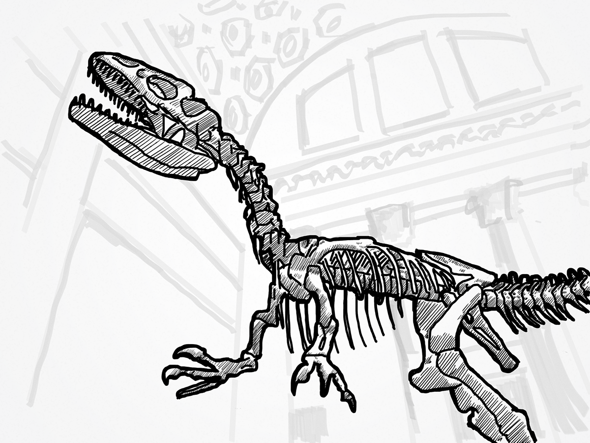 amnh Dinosaur allosaurus Adobe Line Ink & Slide