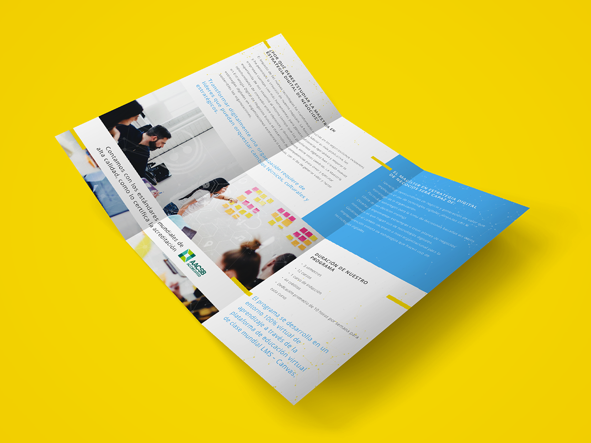brochure design design photoshop tri-fold trifold trifold brochure Instagram Stories