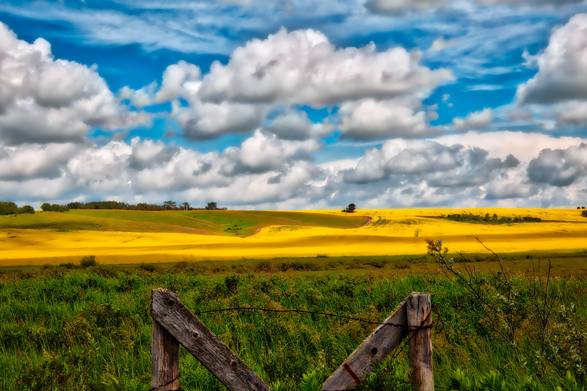 Adobe Portfolio Landscape Nature SKY HDR