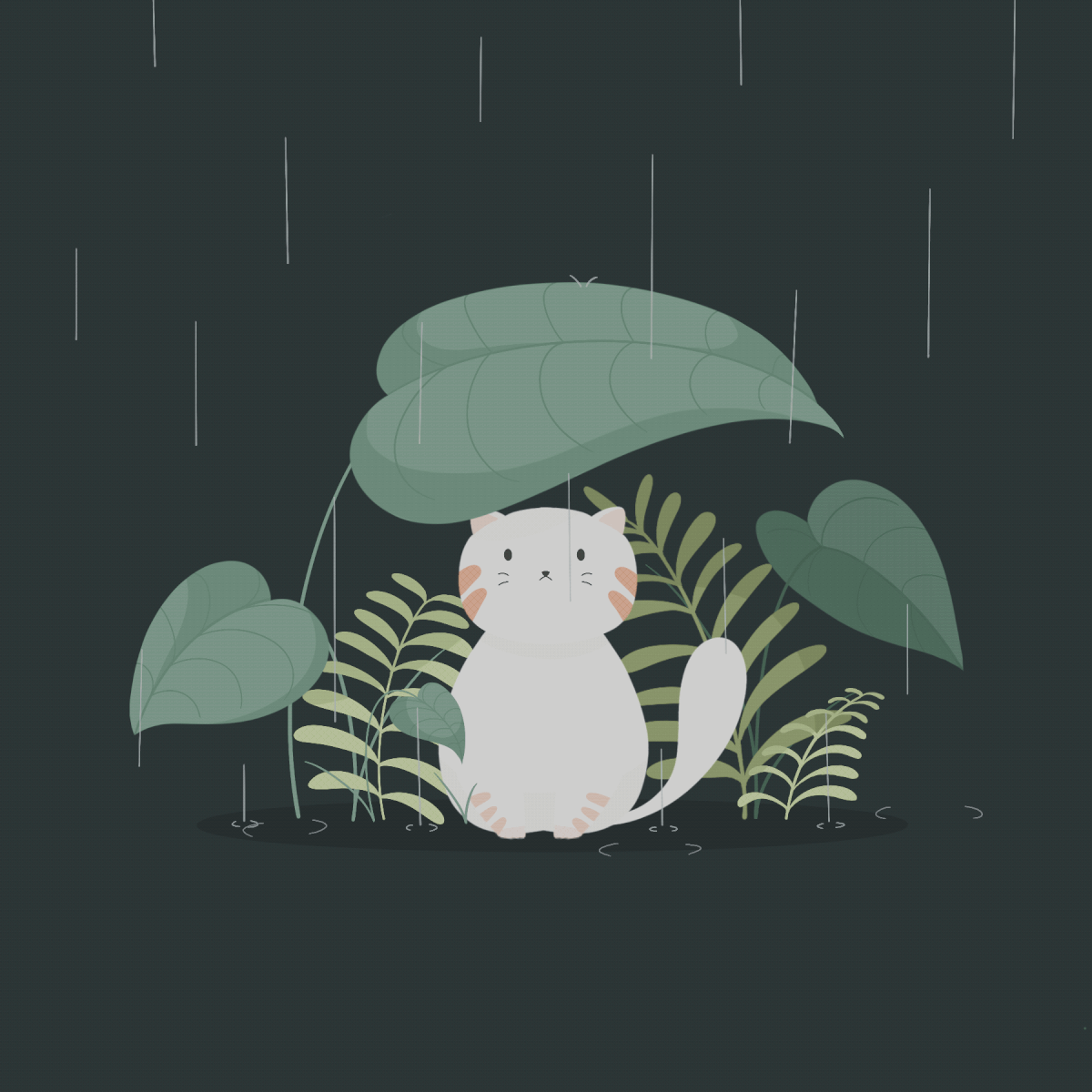 animation  Cat design gif graphics ILLUSTRATION  Nature Procreate rain