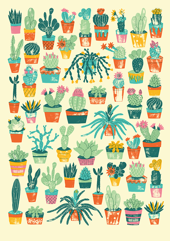 cacti pattern Flora Flowers Succulent desert greenhouse Pots Pottery