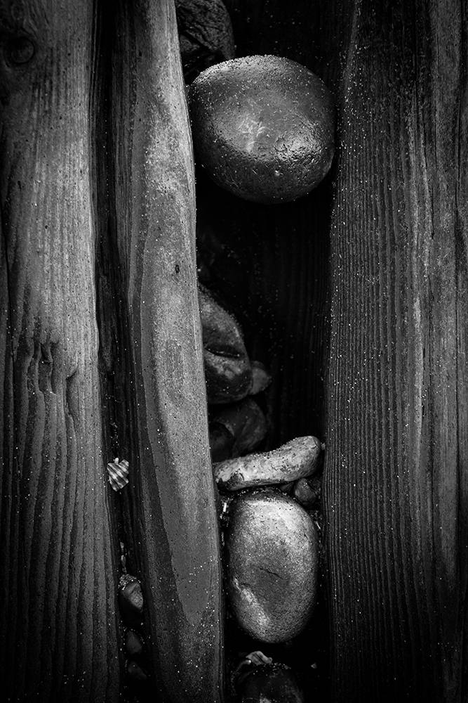 Adobe Portfolio beach sand pebbles shell wood groyne Sea Defence erosion