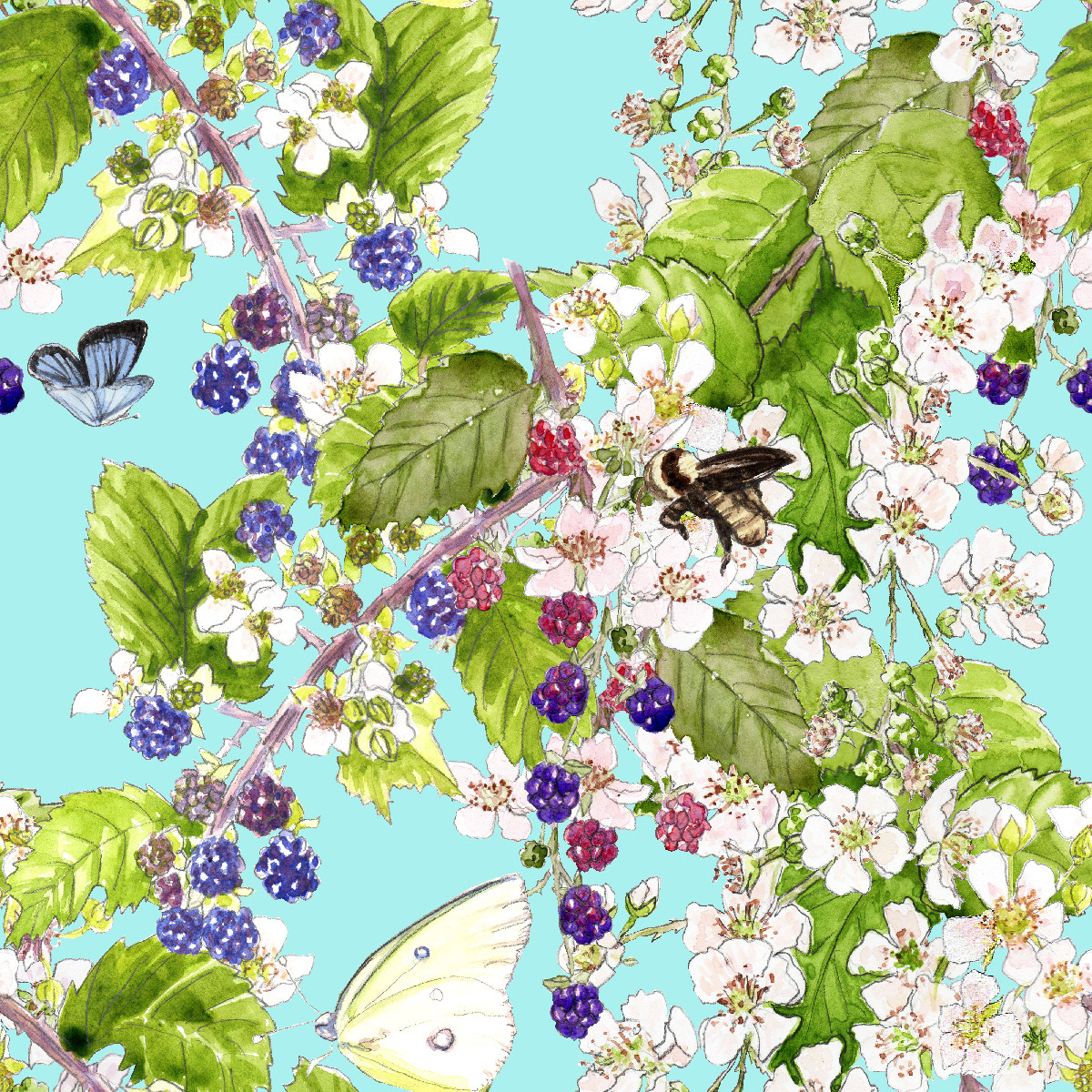 A watercolor illustration of blackberry vines and assorted butterflies and bees on an aqua ground