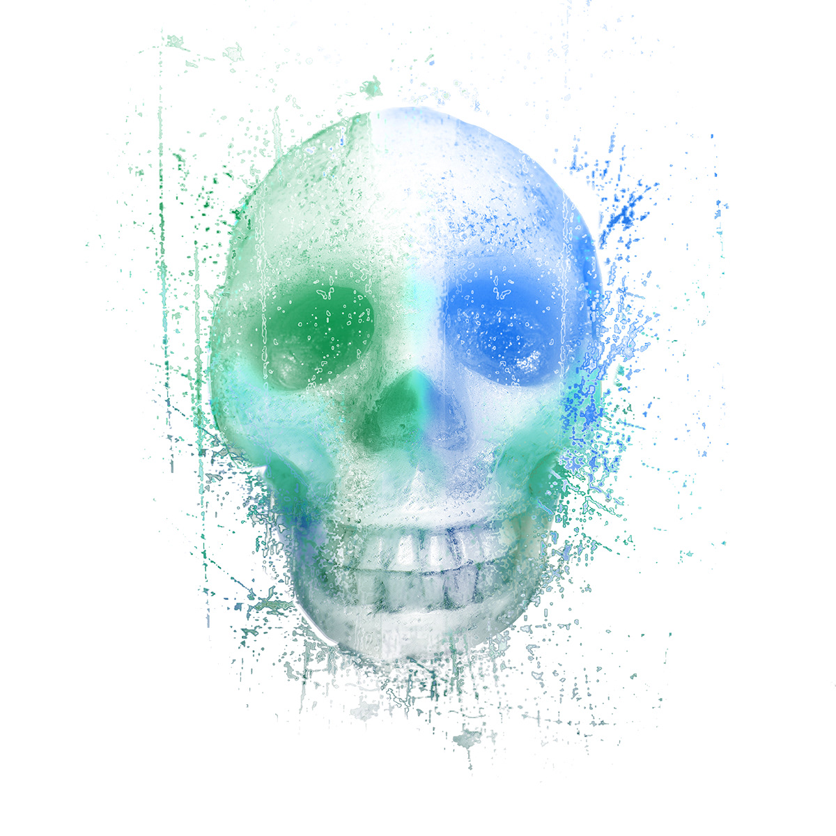 #colouredskulls #skulls #colour