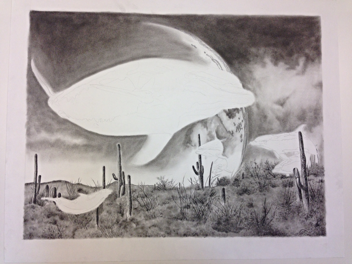 Drawing  surreal dolphin cactus charcoal desert