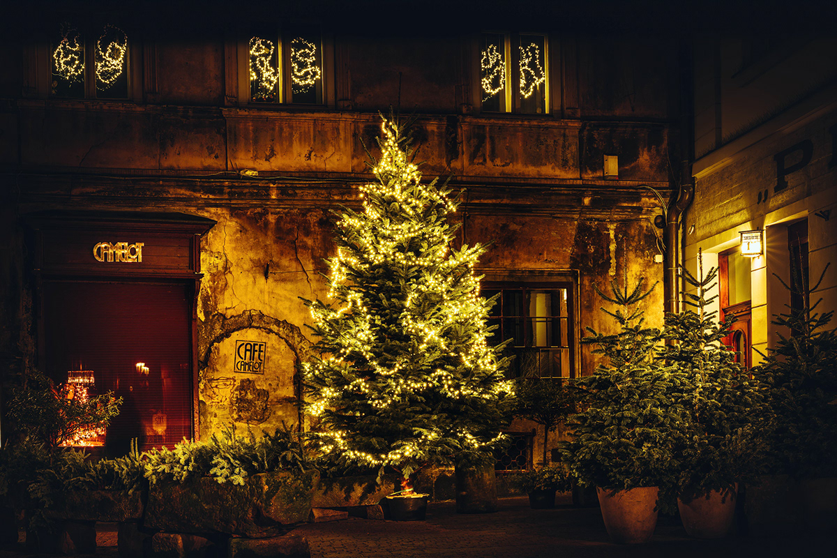 christmas Tree December krakow night poland sepia Street