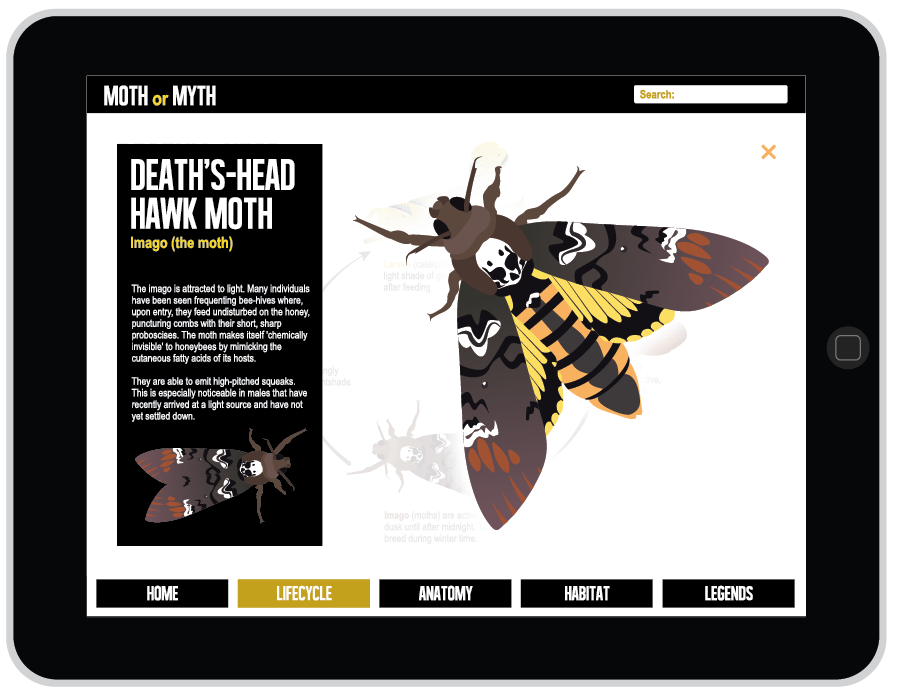 iPad App Insects moth lifecycle