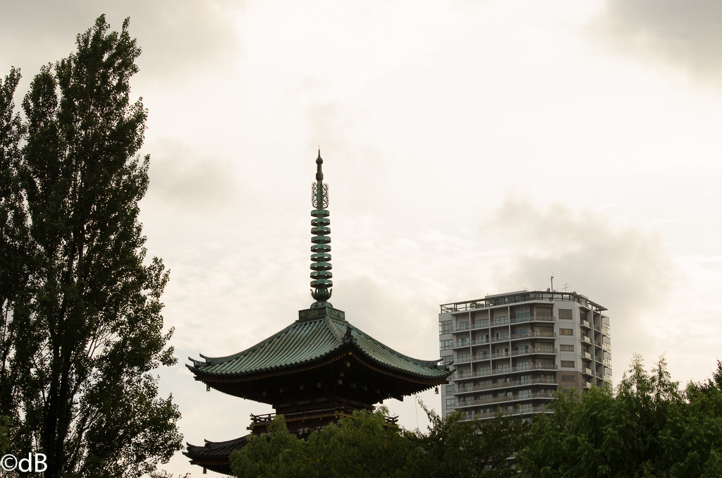 japan tokyo temples temple pagoda zoo animal bird SKY