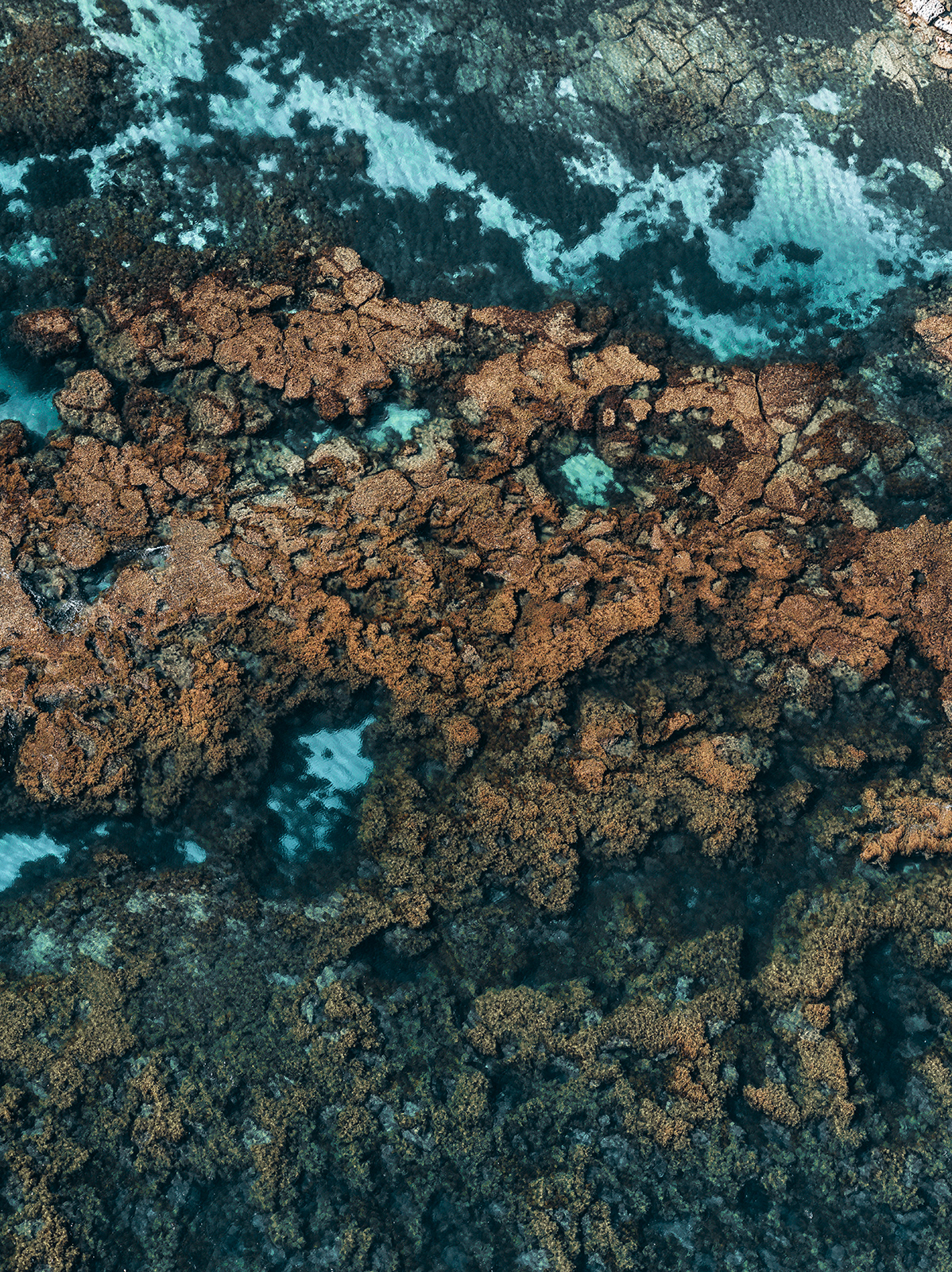 abstract Aerial Australia Coast coral FINEART Ocean reef Tropical water