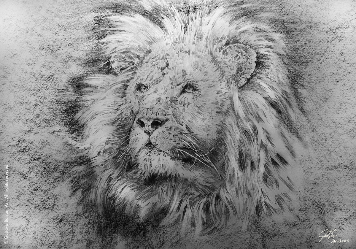 Landscape Character portrait black pencil ink animal tiger lion