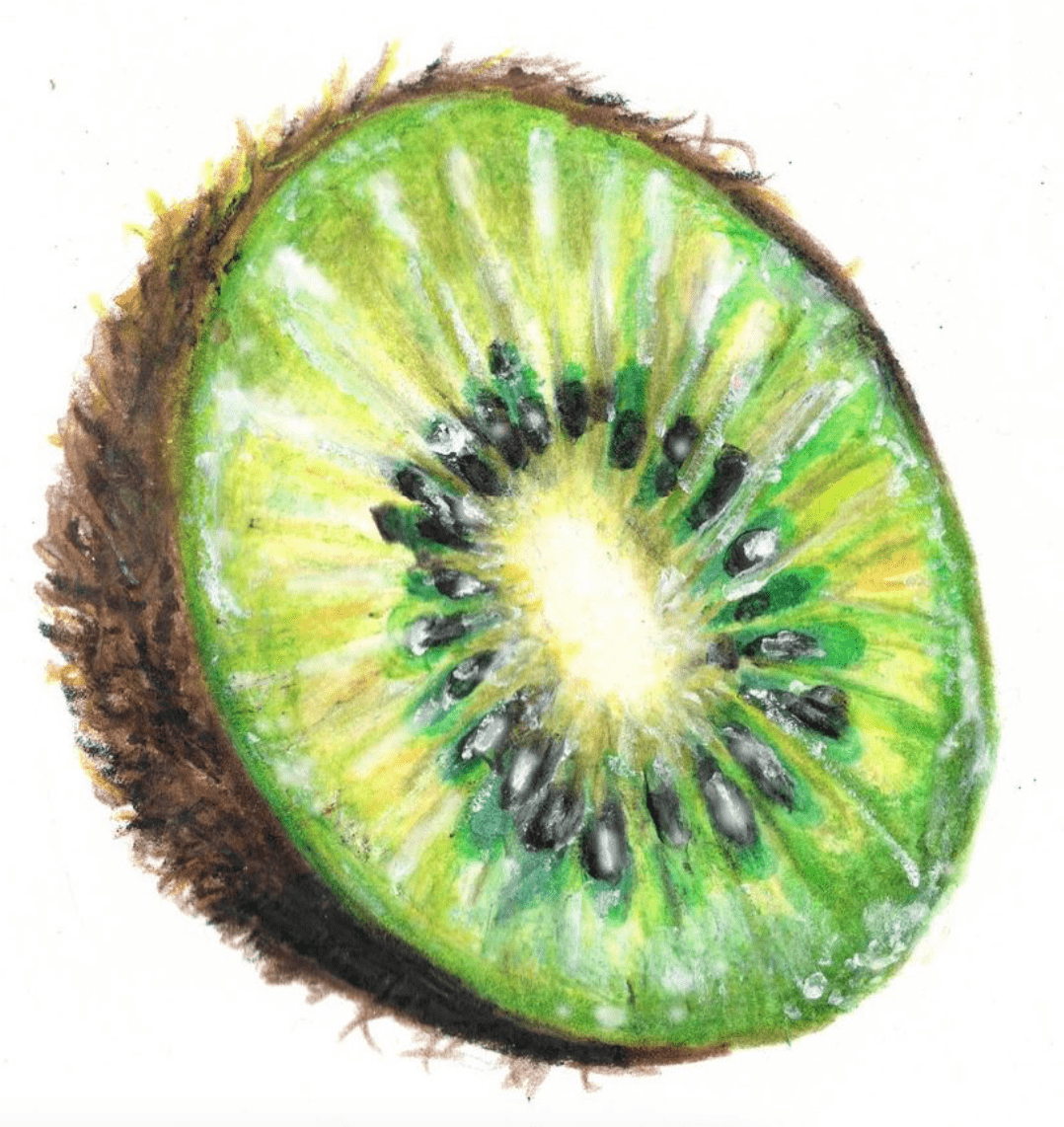 colour pencil Drawing  Fruit observational drawings
