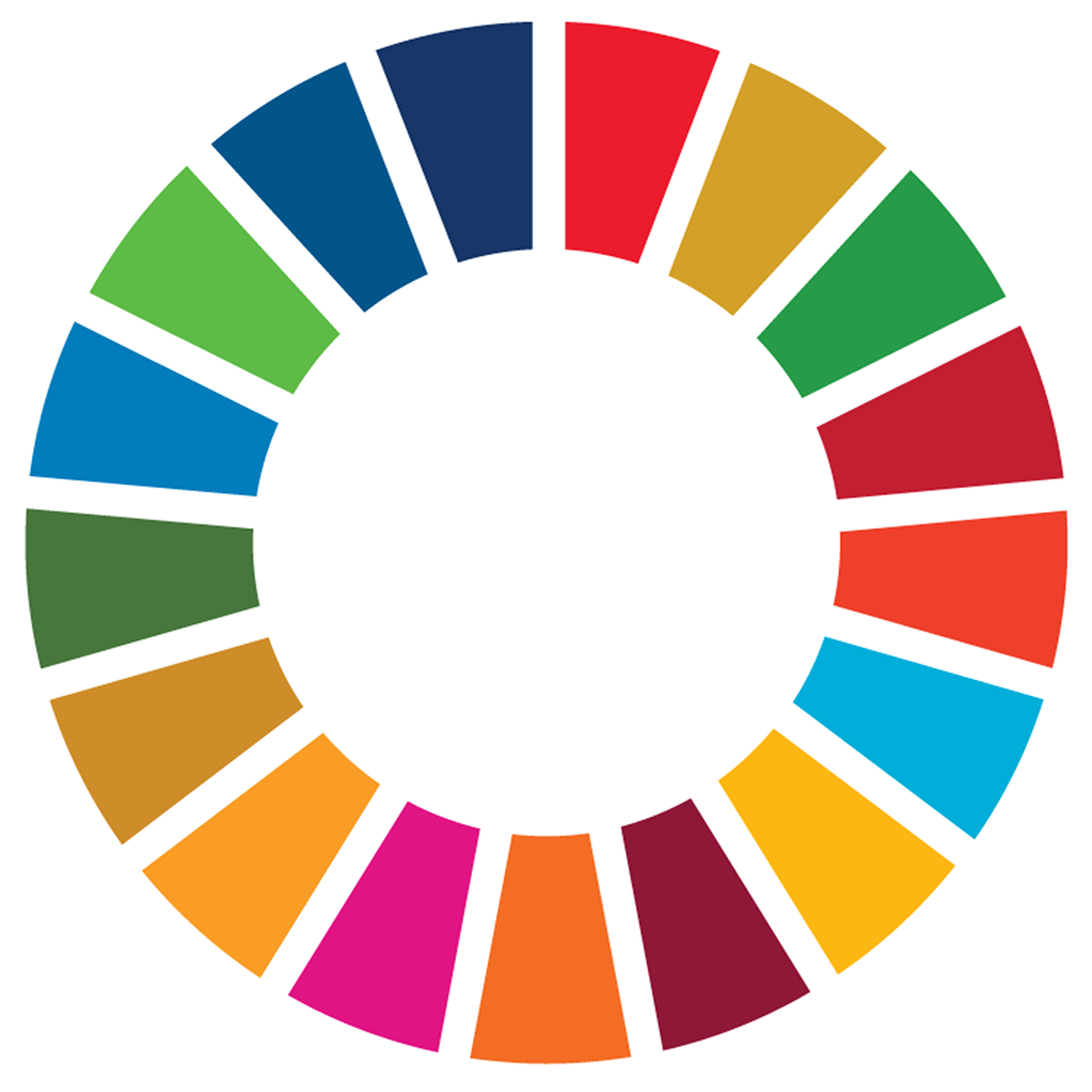 Programming for SDGs LOGO DESIGN on Behance