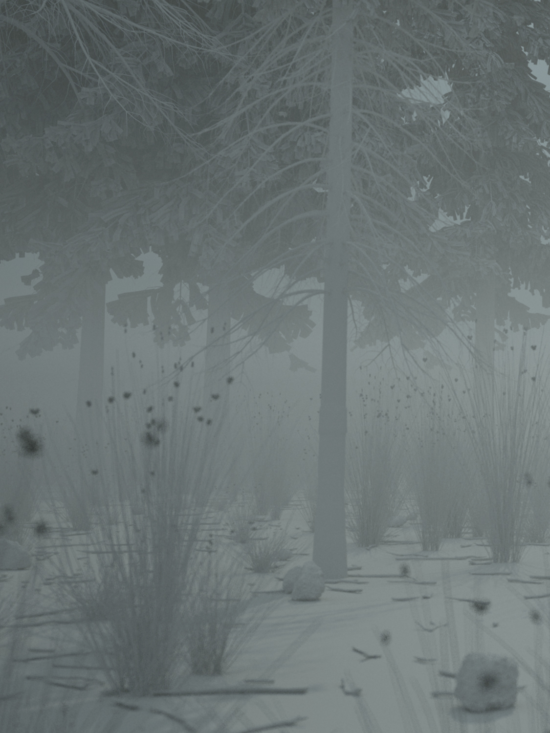 field fog Nature cinema 4d narrative Landscape Render