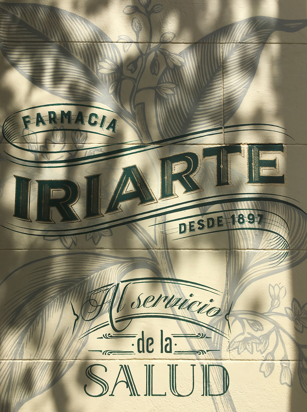 lettering botanical medicinal plants pharmacy farmacia letters design Retail wall Mural Flowers plants buenos aires