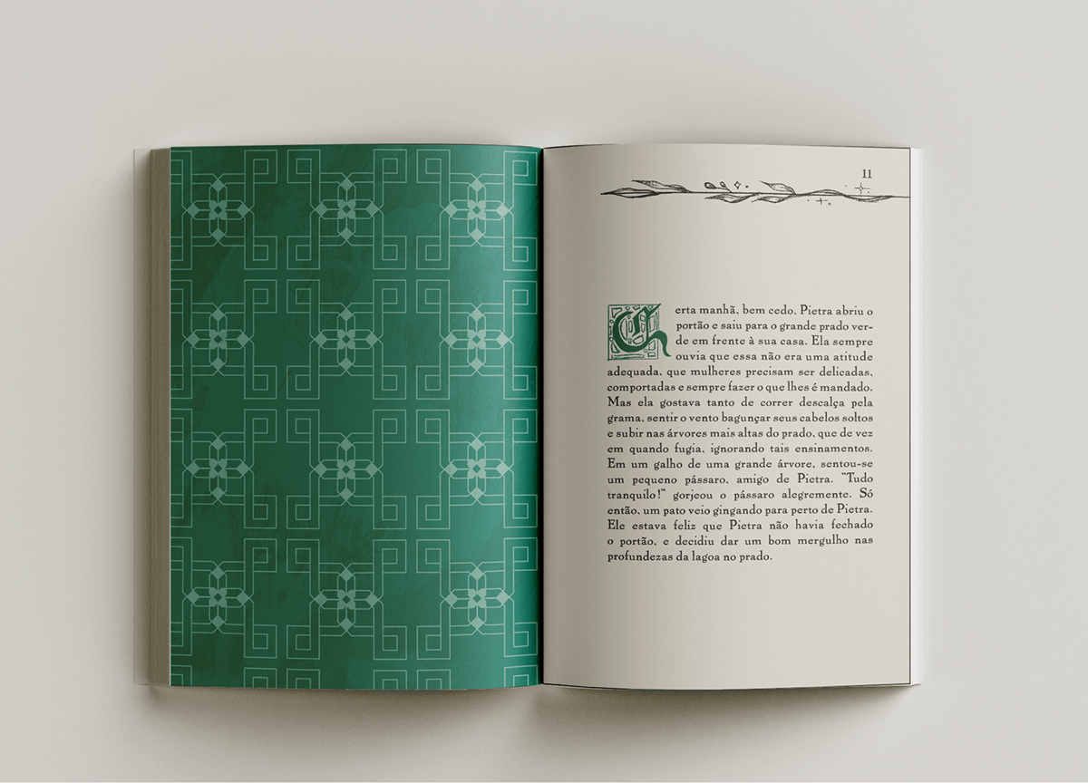 book design deisgn gráfico design design editorial diagramação editorial editorial design  Editorial Illustration Livro projeto gráfico