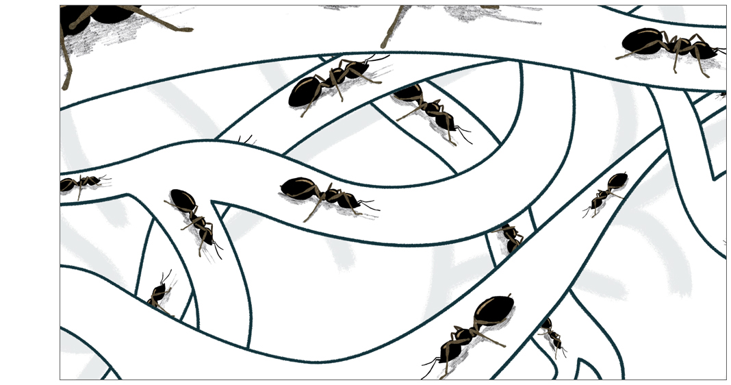 adobeawards dyslexia journey metaphor ant system animated Documentary  neurodiversity inspire
