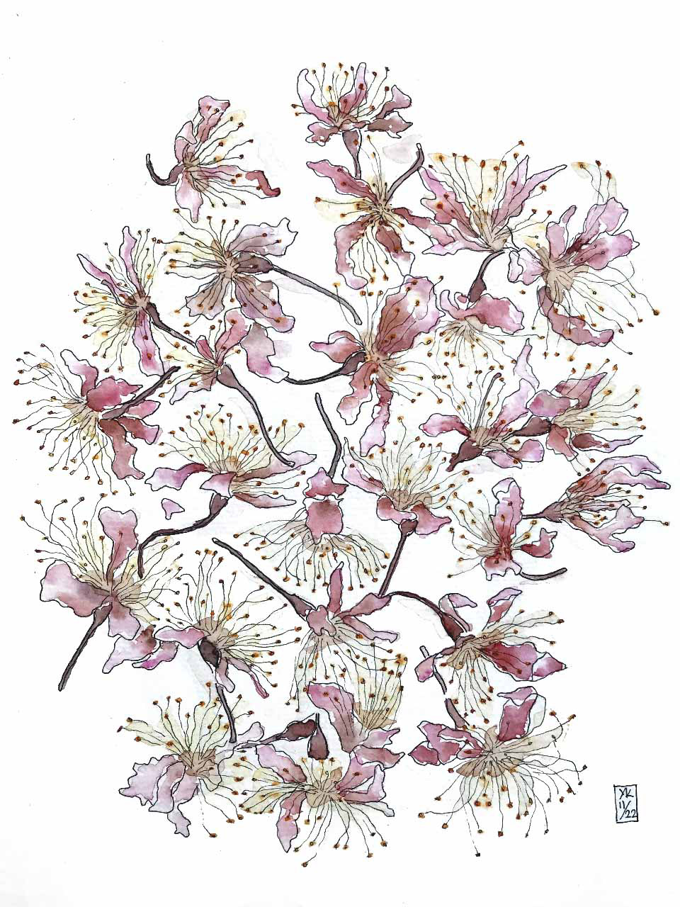 watercolor watercolor illustration ILLUSTRATION  pattern patterndesign Flowers Cherry Blossom pink artwork painting  
