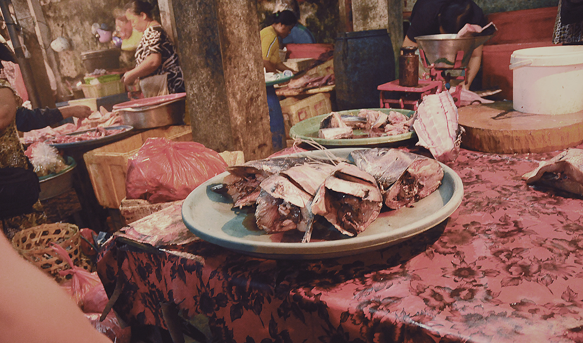 bali fish market MORNING tourist locals asian early mahimahi tuna photo shop Denpasar asia indonesia