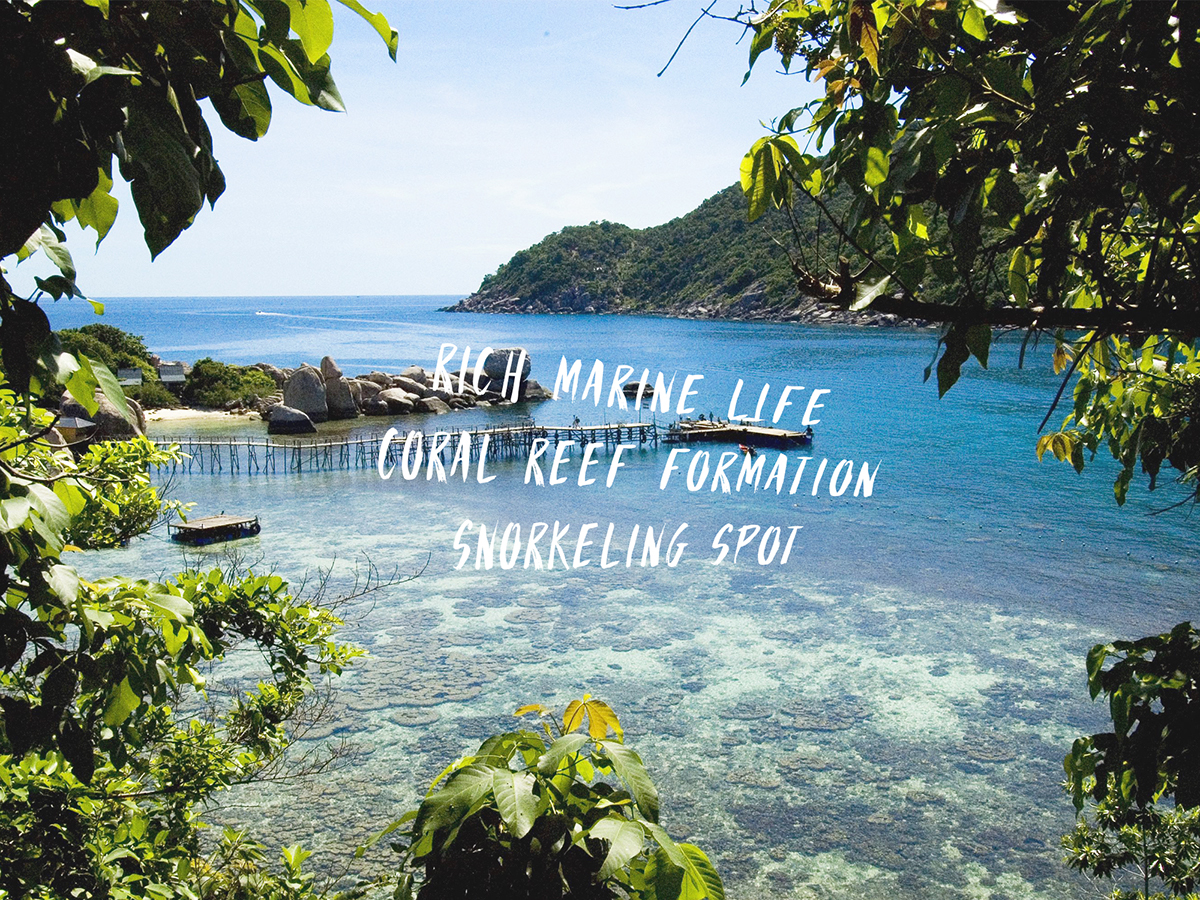 Thailand Ocean paradise Travel tourism Landscape Tropical design