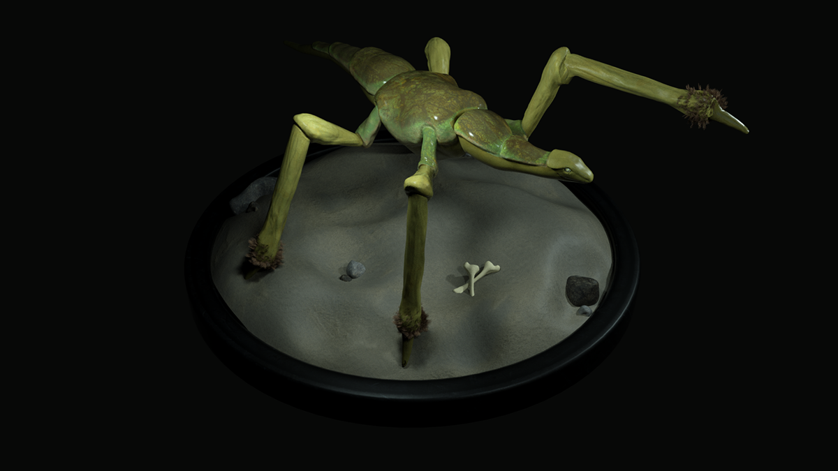 animation  3D Maya animal creature digital design Character