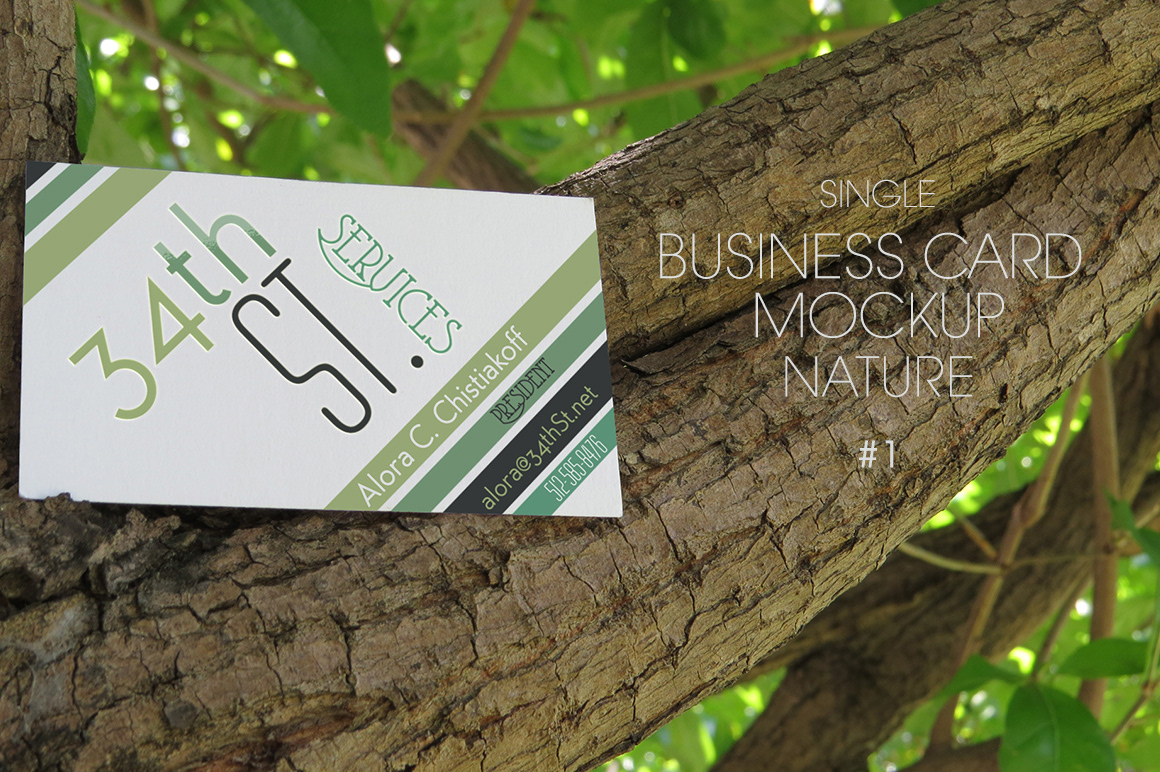 business card Single high resolution photo realistic Mockup Nature branch leafs product photoshop business card UV coating emboss print