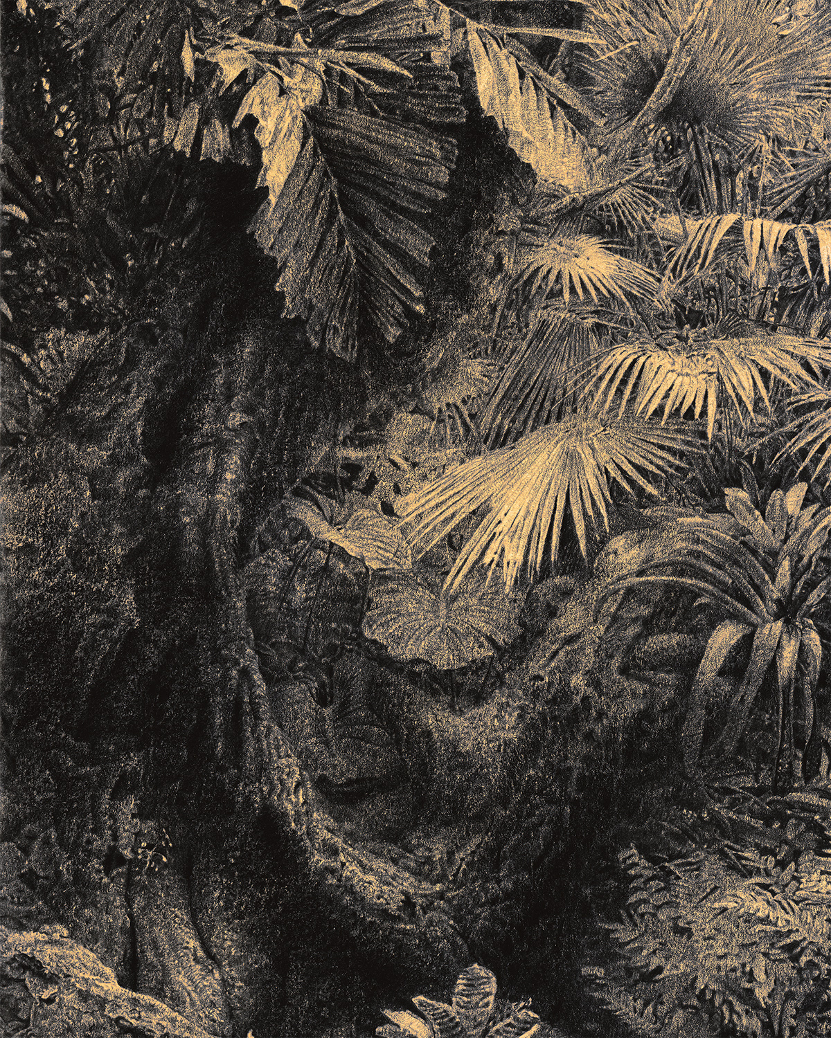 Drawing  forest ILLUSTRATION  jungle landscapes Nature pencil scenery Tropical watercolor
