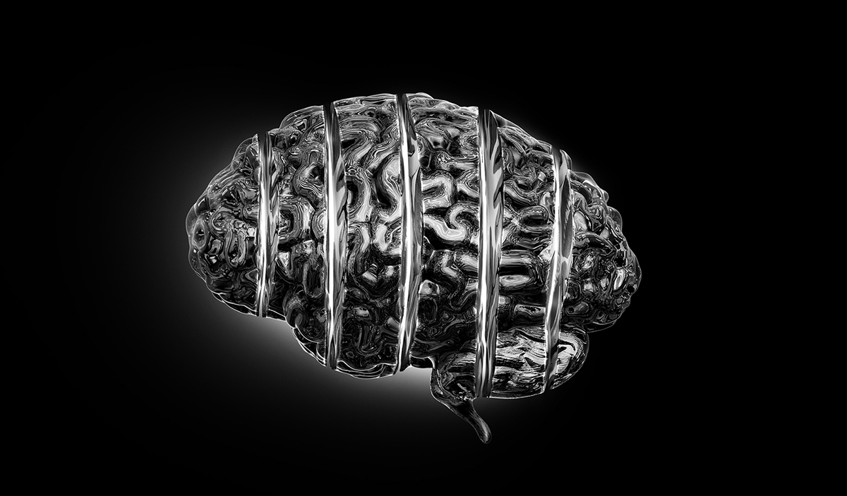 brain slice 3D