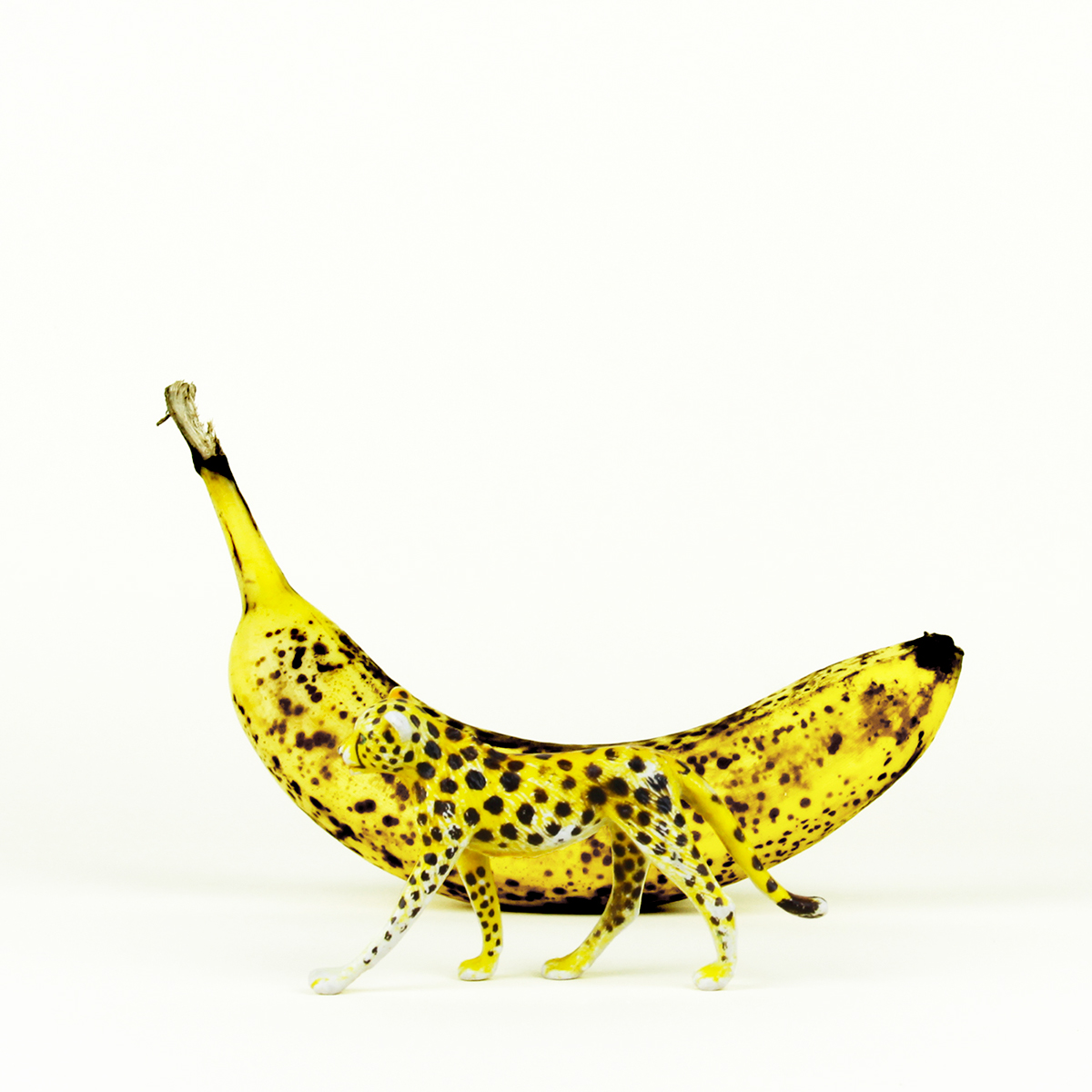 art direction ideas banana urbino cool papi andrea