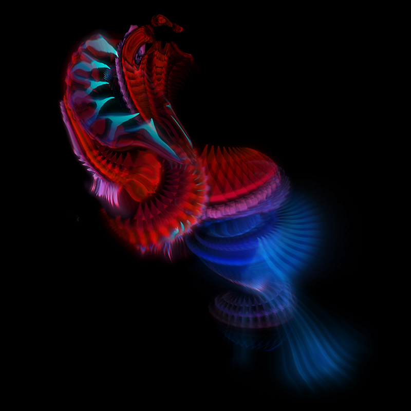 Krake Krake Festival geso deep sea creatures Nature vdmx Digital Art 