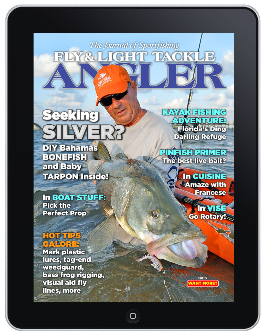 Digital Publishing  fishing tablet iPad magazine interactive Ron Romano adobe tablet design Fly fishing Tight Lines Vectors