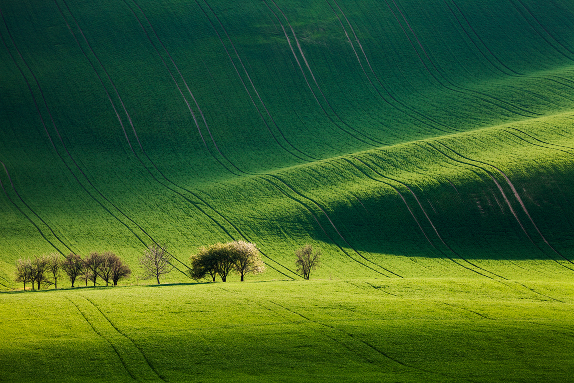 Czech Republic South Moravia fields lines hills agriculture Landscape photo Workshop light spring martin rak colors beauty