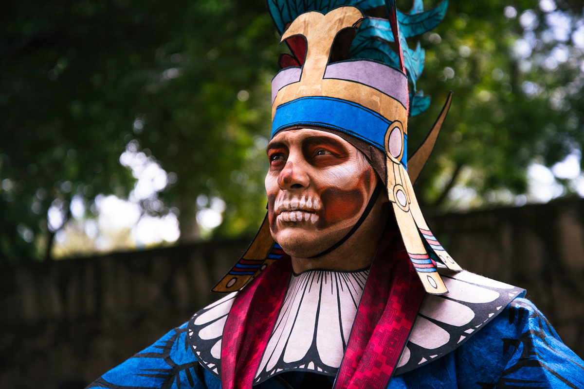 Dia De Muertos death mexico culture parade calaca migration celebration city animals