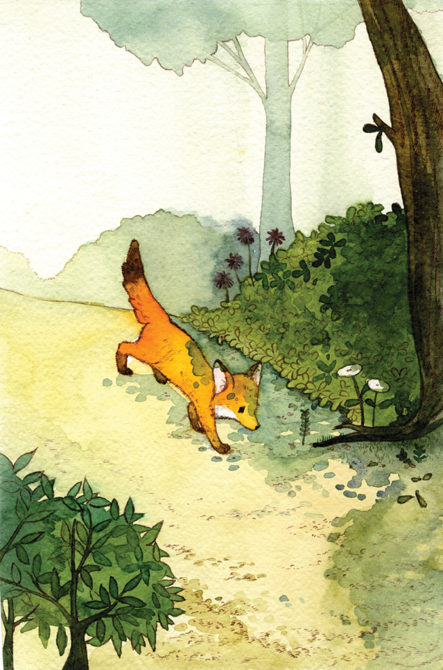 illust aesop fable FOX watercolor fairy tale