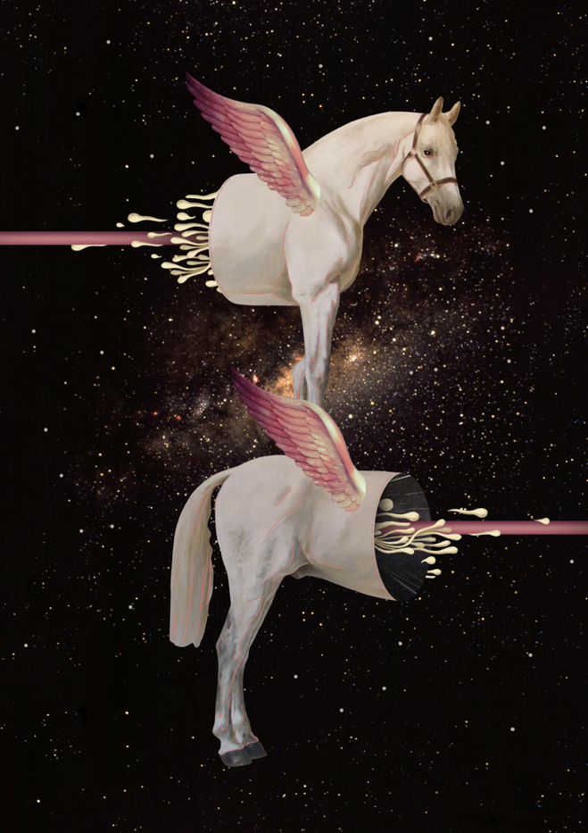 collage Digital Collage marcos morales styles of collage cut and paste Flowers horses Space  universe fashion collage photoshop collage