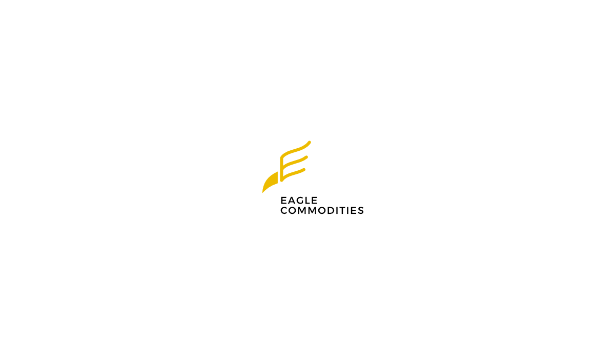 logo house country clan type Consulting eagle
