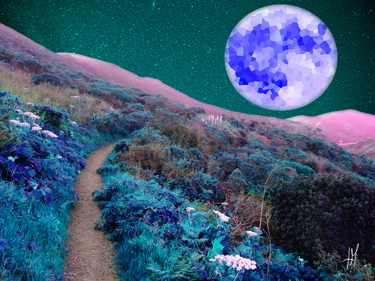 colours Digital Art  dream Glitter imaginary Landscape moon night photography